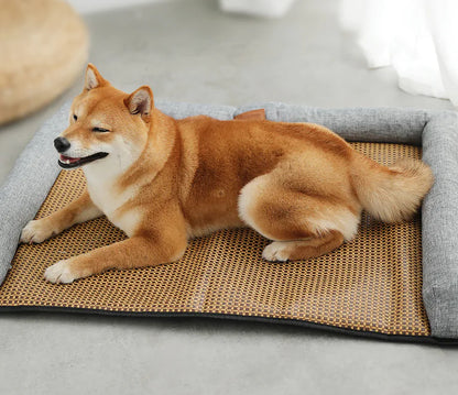 Universal Pet Sofa for All Seasons