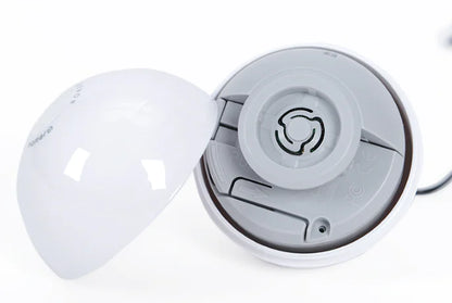 Cat Toy Wand - Essential Accessories for Cats