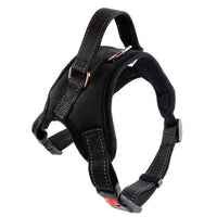 Small Dog Vest with Rope Chest and Back Design