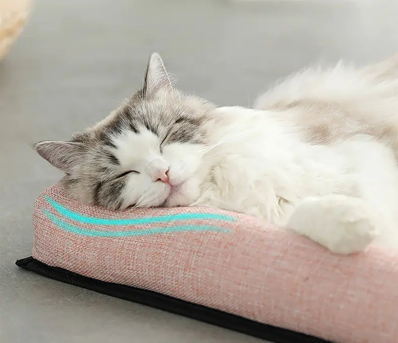 Universal Pet Sofa for All Seasons