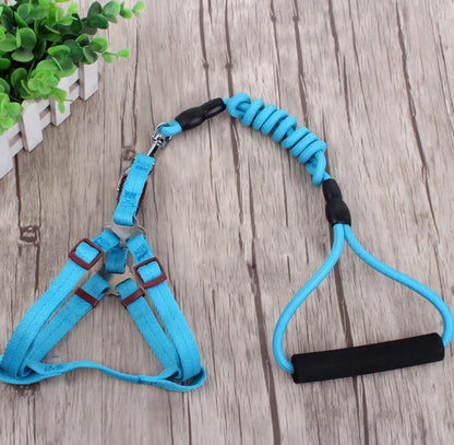 Pet Leash Set for Small Dogs and Cats with Collar