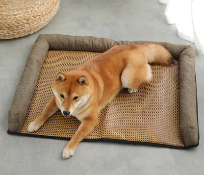Universal Pet Sofa for All Seasons